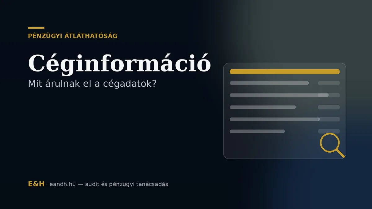 Céginformáció: mit árulnak el a cégadatok?